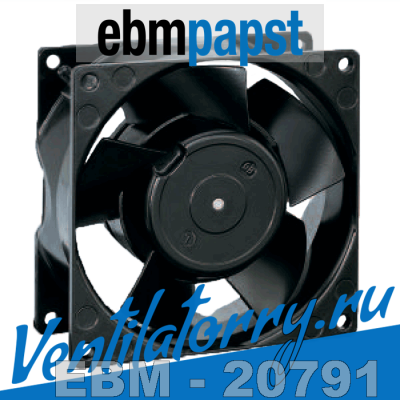 3600